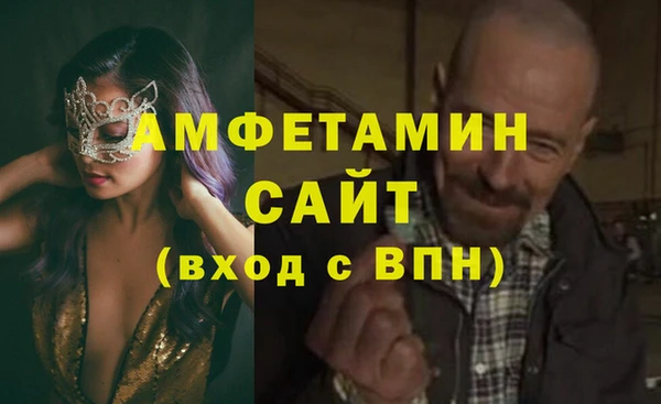 сатива Белая Холуница