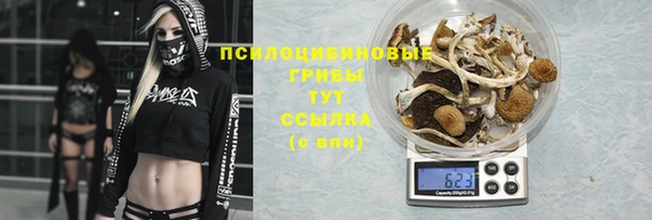 молекула духа Бежецк