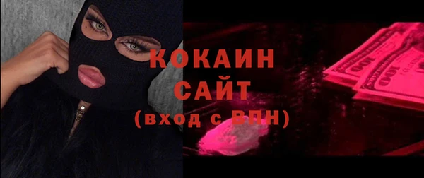 сатива Белая Холуница