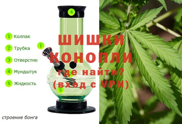 мдпв Бикин