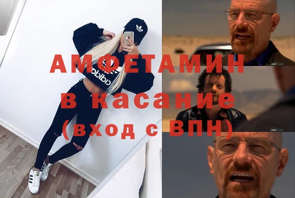 сатива Белая Холуница