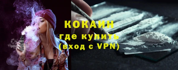 молекула духа Бежецк