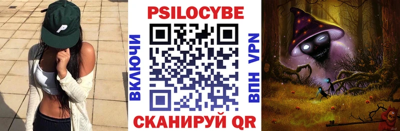 Галлюциногенные грибы Psilocybine cubensis  Купить закладки  Ершов 