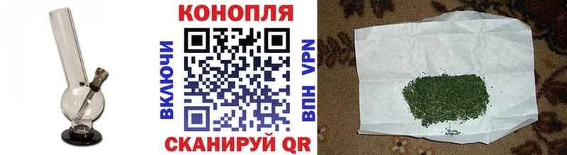 Каннабис конопля  Купить где  Ершов 